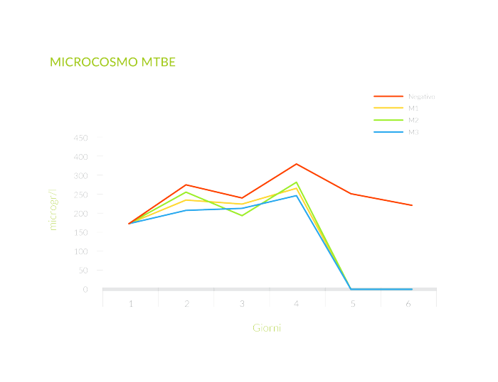 MTBE biodegradation